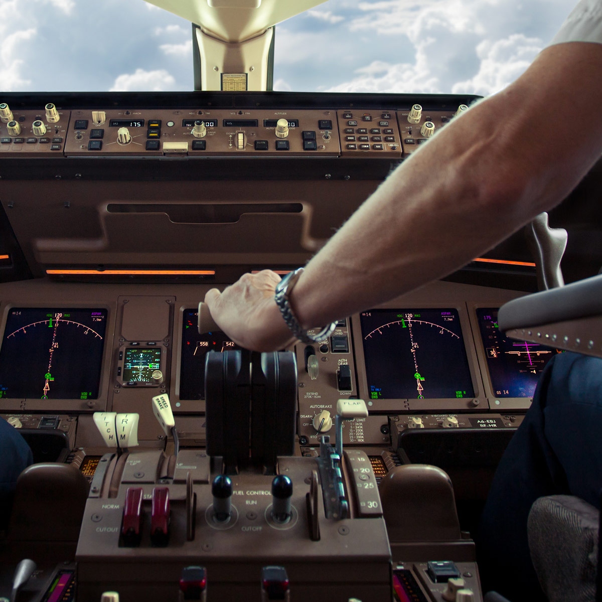 Cabin interior heat shrink tubing products: Pilot in airplane