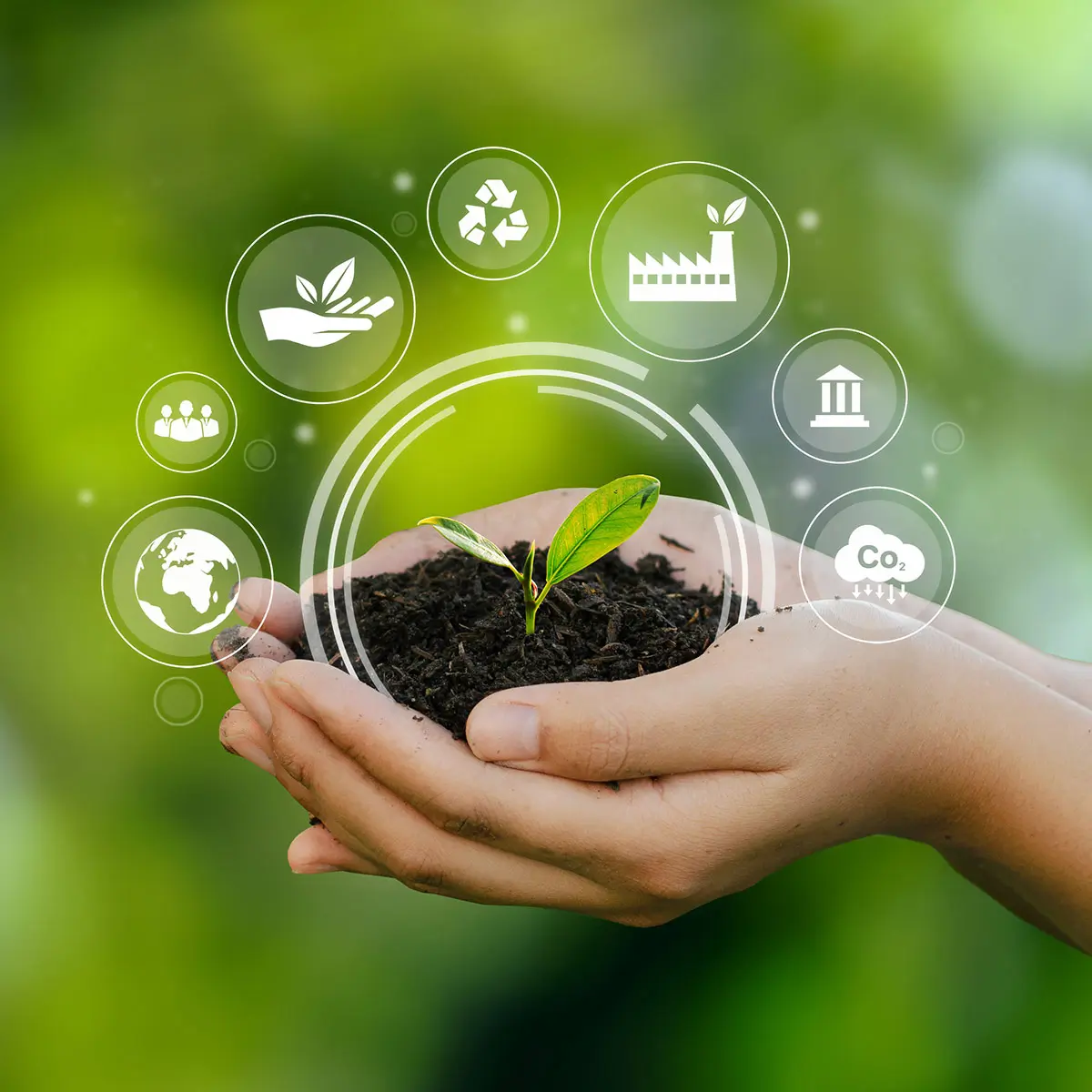 Commitment to sustainability & environment