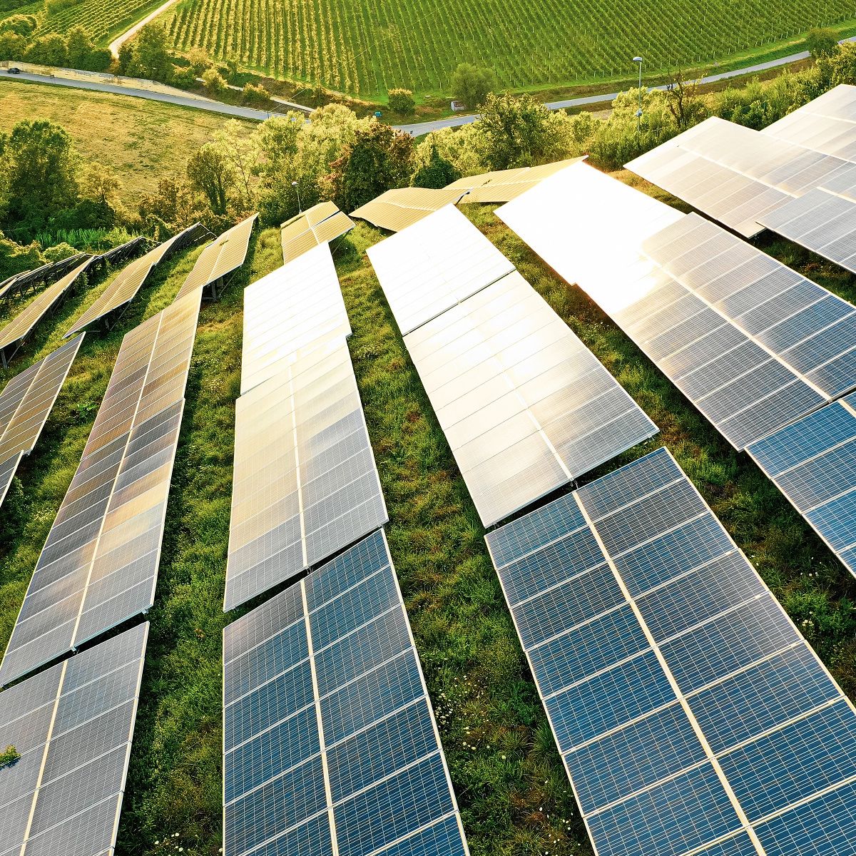 Renewable energy: Heat-shrink applications for solar panels