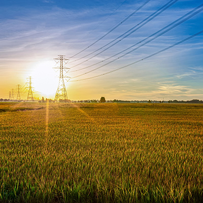 DSG-Canusa offers heat shrink tubing products for wildlife mitigation protection